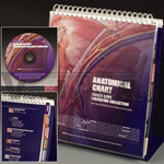 Anatomical Chart Healthcare Education Collection: The Professional�s Reference for Patient Communication